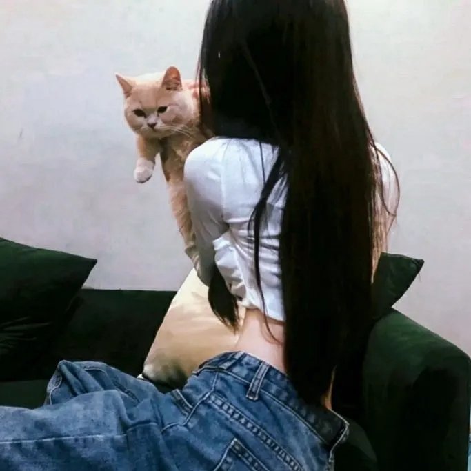荣誉之季